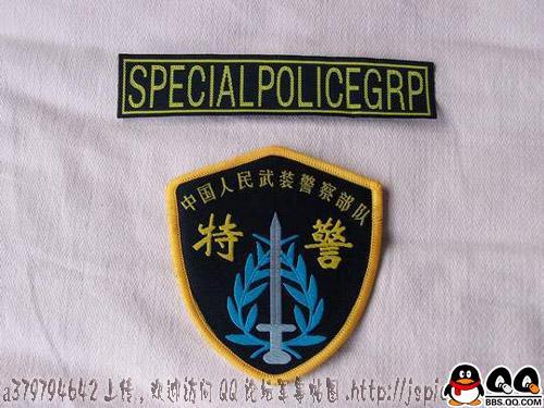 中国武装特警（A款）+胸条