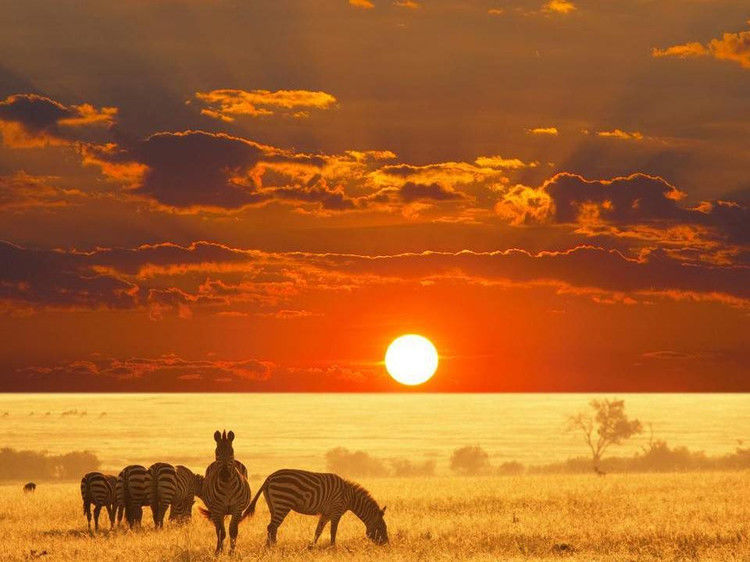 与您同赏——最美不过夕阳红（夕阳照拍得真棒！） - 小荷 - 小荷的博客
