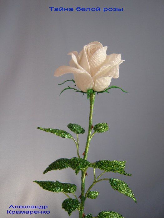 DSC00013_2 (525x700, 47Kb)