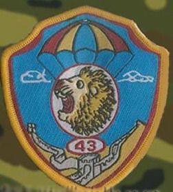 空降兵43师