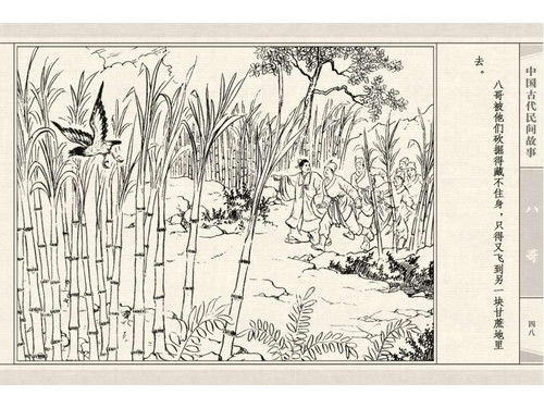 八哥 - shunlin01 - 美术资料与连环画