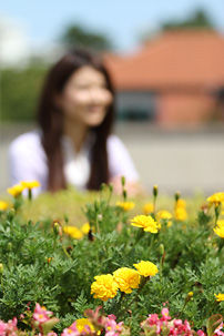 光圈优先模式拍摄技巧你掌握了吗?