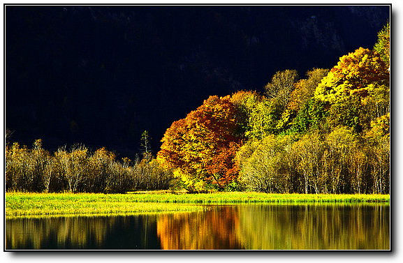 秋旖旎秋色 美不胜收  伊水一方 开心屋