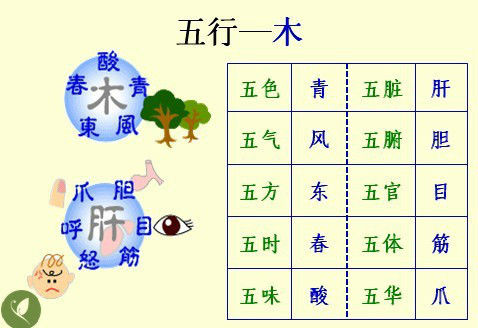 五行经络图加实作，值得收藏！ - 吝色鬼 - 吝色鬼 的博客