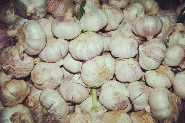 神奇的煮大蒜水的功效 - haikanghuayuan - 云雾青山欢迎您