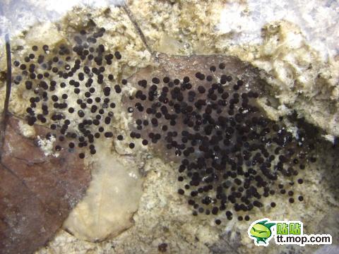 那些只属于出生在农村的80后记忆1339755458783