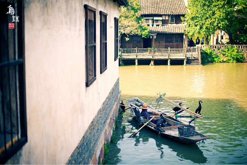 十里秦淮—水街 梦里水乡（图） - 玫瑰 - 
