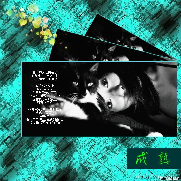 席慕容詩詞精選   - 老排长 - 老排长（6660409）