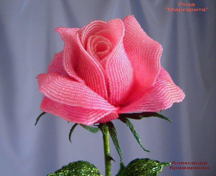 DSC00074_4 (700x570, 73Kb)