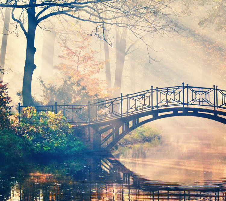 中外桥梁  美景大全 - 