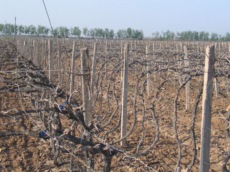 全国仅存的人民公社 无一人外出打工【图】 - 美体、情感、博文精品 - 美体情感、心灵驿站