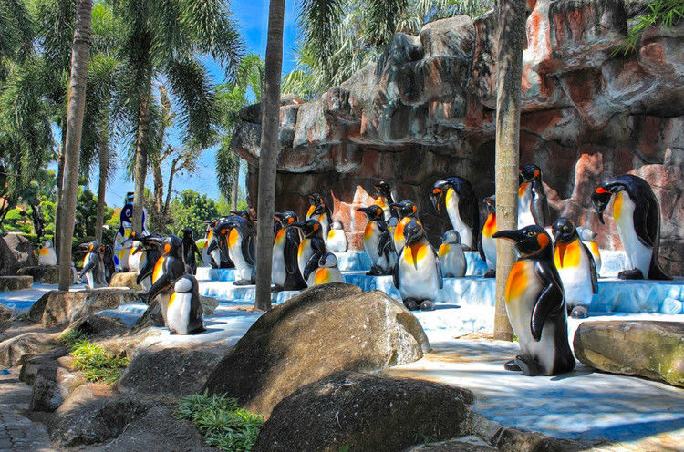 【引用】нуч花园轩弄。泰国 - 枫林傲然 -                  .