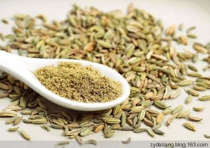 茴香子泡酒治好俺的手脚凉 - 瀛子 - 瀛の小笺