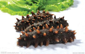 堪比人参的食物【组图】 - 云鹏润峰 - 云鹏潤峰