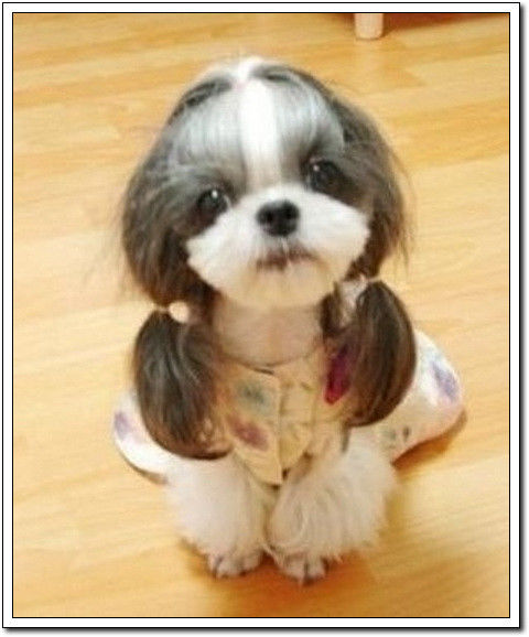 周末要轻松！【幽默图片50P】 - 無為居士 - 聚美齋