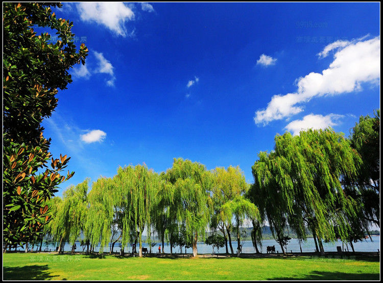 杭州湾风光 - 飞春 - 飞春博客