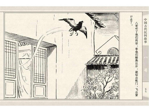 八哥 - shunlin01 - 美术资料与连环画