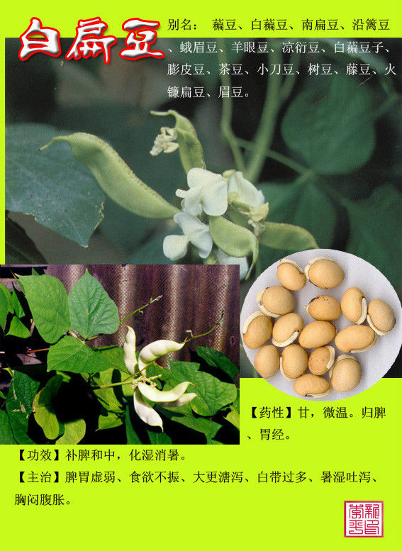 [转载]常用中草药300种图谱