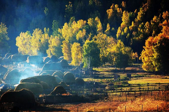 点击打开组图详情