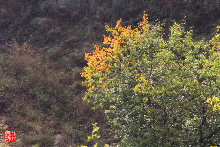 山西临县李家山 - 海阔山遥 - .