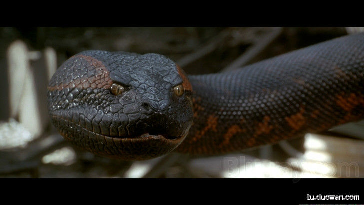 盘点中国神秘事件 至今为止仍然是未解之谜 (20)