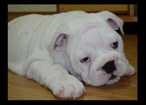 内存卡读不出/坏了，怎么修复? - 吝色鬼 - 吝色鬼 的博客