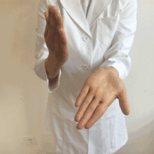 Rose【不花钱不吃药，一学就会调百病！】(5174) - Rose - Rose Yang的博客