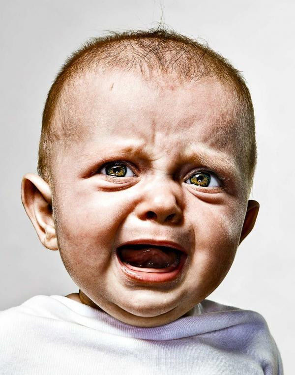 太可爱了！好想捏捏他们的脸！ - 社会糗事大百科 - 社会糗事大百科