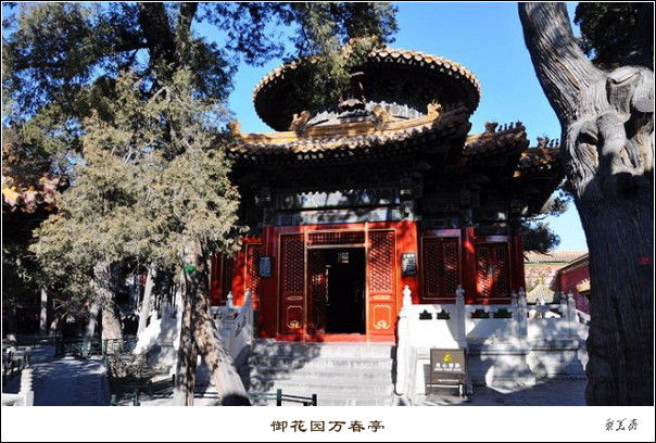 北京故宫知识大全！【文化历史】 - 無為居士 - 聚美齋