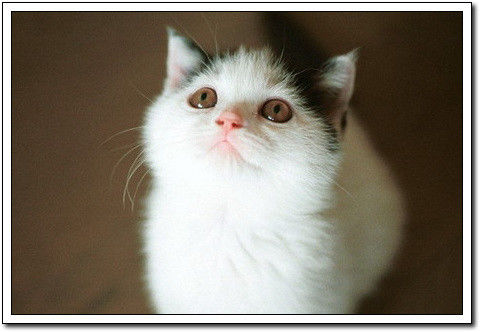 周末要轻松！【幽默图片50P】 - 無為居士 - 聚美齋