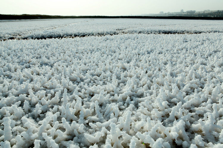 运城盐湖物理现象之二（原创） 