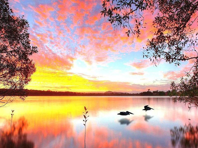 与您同赏——最美不过夕阳红（夕阳照拍得真棒！） - 小荷 - 小荷的博客