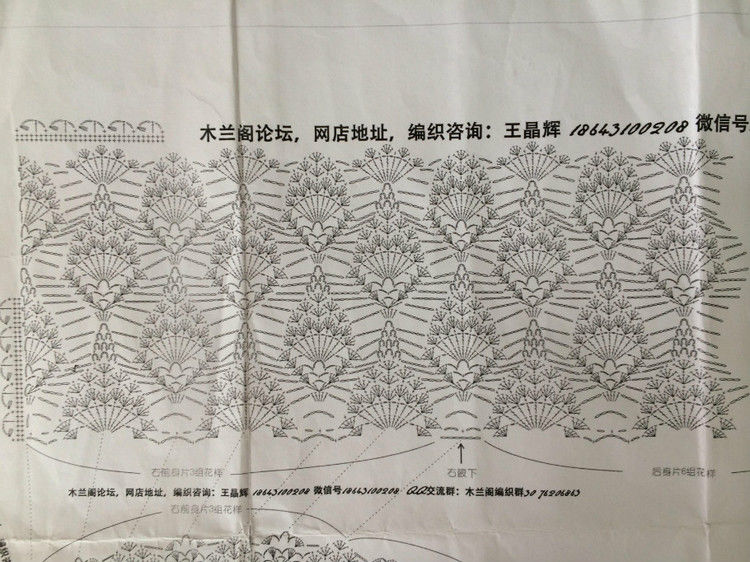 短款雀羽 （2015） - 瑜伽猫 - 瑜伽猫的博客