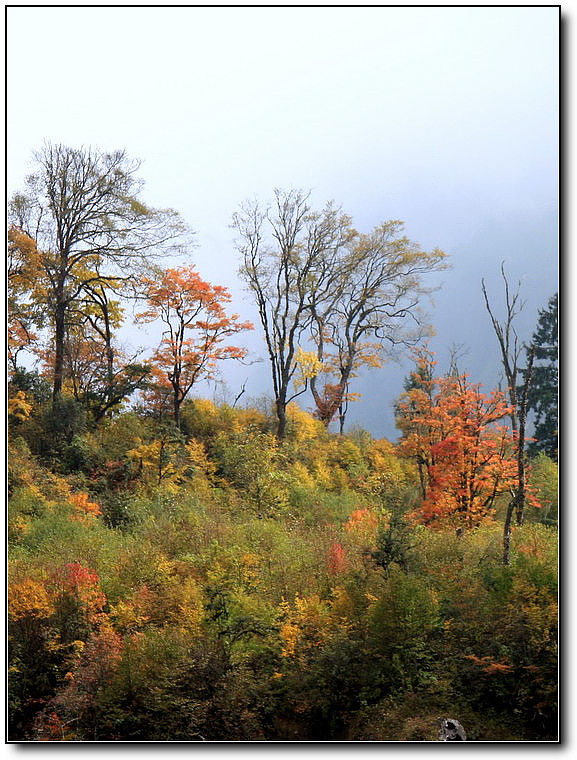 秋旖旎秋色 美不胜收  伊水一方 开心屋