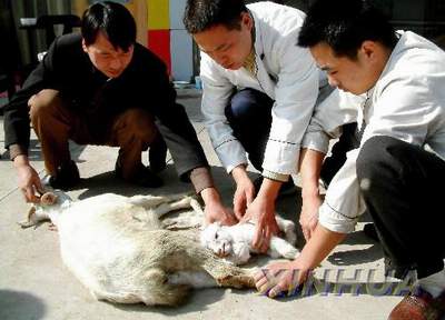 身为中国人，这30件事情你必须知道【组图】