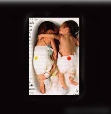 点击进入连续看图模式