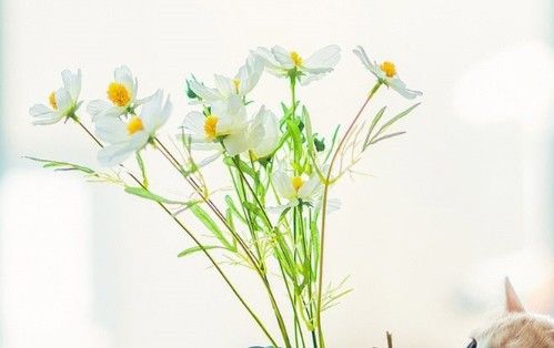 送你的133个生活小技巧