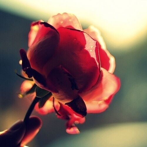 插画心语：遗忘就是我们给彼此最好的纪念| jiaren.org