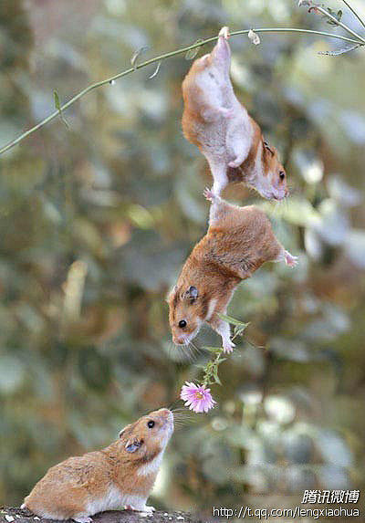 身为中国人，这30件事情你必须知道【组图】 