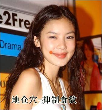 地仓穴--抑制食欲