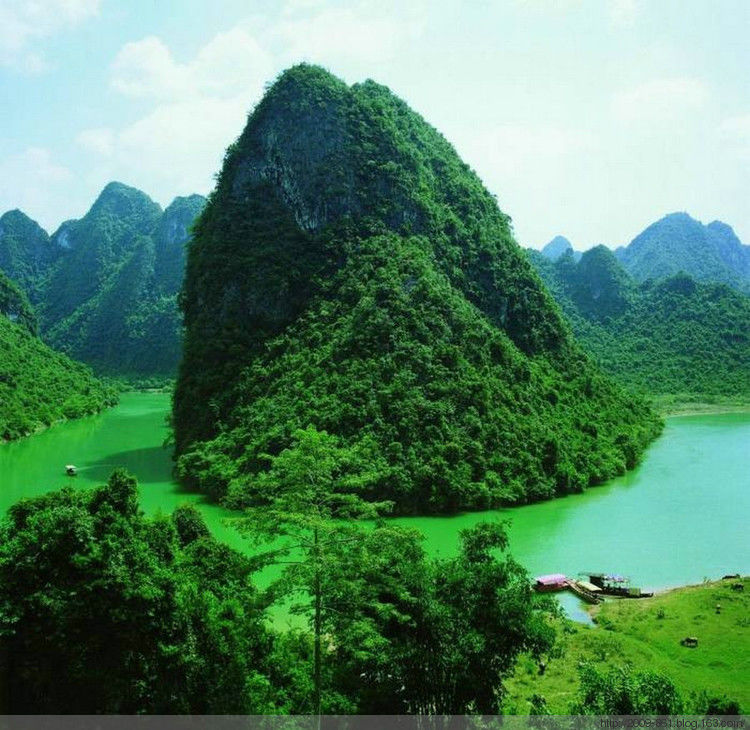 绿油油的～～太美了～～ - 宝贝梦 - 分享美丽·分享快乐·品味人生