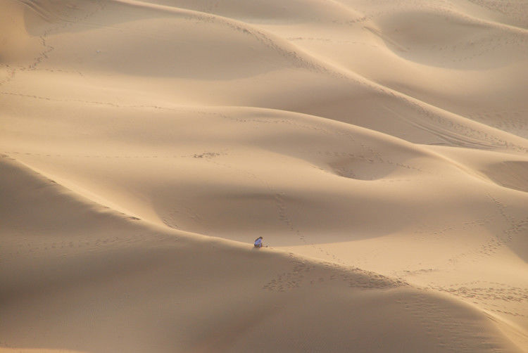 鄯善 - JOJO - JOJO带你游世界