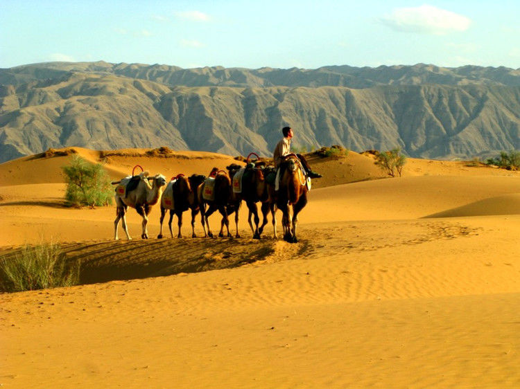 点击打开组图详情