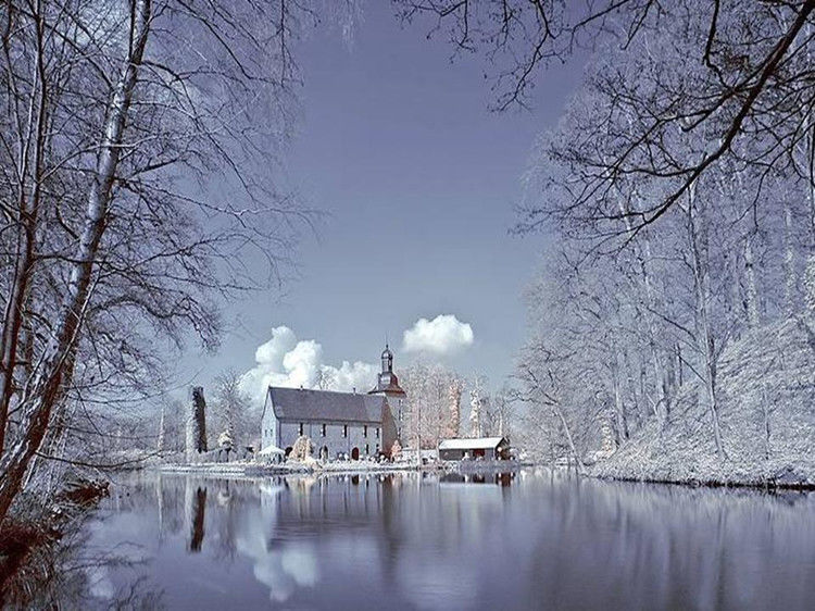 写给七十岁时的自己 - 老教授 - 老教授