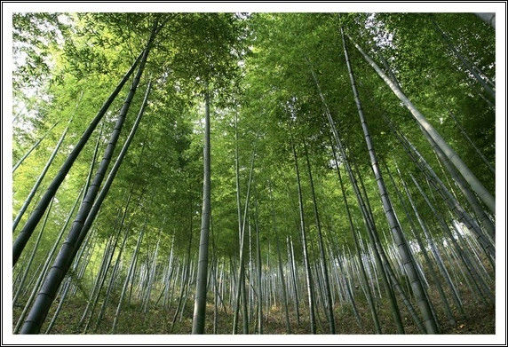 美丽中国之美景大全！【巨量合集】 - 無為居士 - 聚美齋