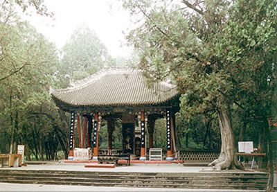 点击打开组图详情