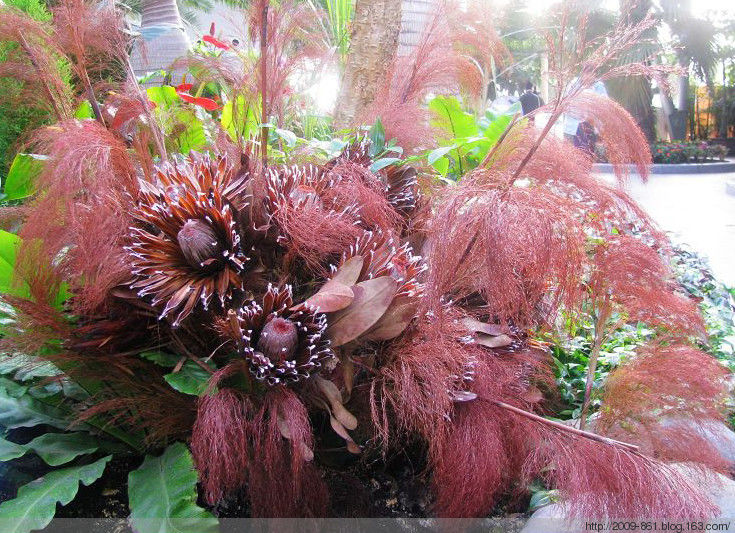 两性人体知识大全！不可不知... - 宝贝梦 - 分享美丽.分享快乐.品味人生