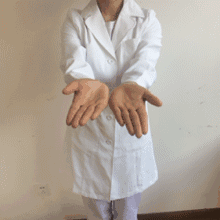 Rose【不花钱不吃药，一学就会调百病！】(5174) - Rose - Rose Yang的博客