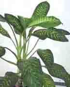 找准你家的财位！金钱来找你，挡也挡不住 - 吝色鬼 - 吝色鬼 的博客