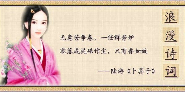 最浪漫的诗词 - 老排长 - 老排长（6660409）